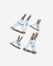 將圖片載入圖庫檢視器 PRYNWAN Two tone Step-in 胸背帶 Baby 藍色 灰褐色
