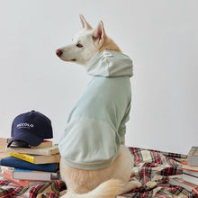 將圖片載入圖庫檢視器 [預購] ORENTATION HOODIE 韓國中大型犬透氣帽 T
