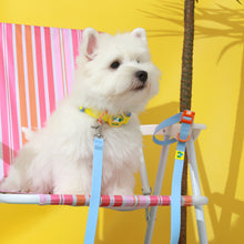 將圖片載入圖庫檢視器 [現貨]doggupets 防水牽繩
