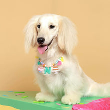 將圖片載入圖庫檢視器 [預購] DOGGU 客製化寵物項鍊 寵物圖案客製化項鍊
