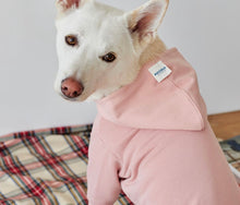 將圖片載入圖庫檢視器 [預購] ORENTATION HOODIE 韓國中大型犬透氣帽 T
