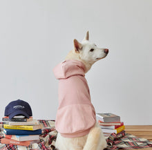 將圖片載入圖庫檢視器 [預購] ORENTATION HOODIE 韓國中大型犬透氣帽 T
