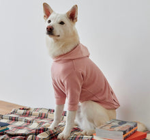 將圖片載入圖庫檢視器 [預購] ORENTATION HOODIE 韓國中大型犬透氣帽 T
