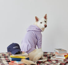將圖片載入圖庫檢視器 [預購] ORENTATION HOODIE 韓國中大型犬透氣帽 T
