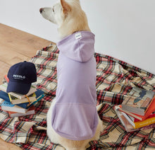 將圖片載入圖庫檢視器 [預購] ORENTATION HOODIE 韓國中大型犬透氣帽 T

