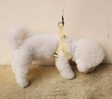 將圖片載入圖庫檢視器 [現貨] UBUN'TU 淡黃色胸揹帶 - 小型犬/中型犬/大型犬
