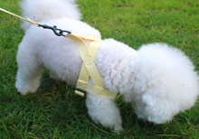 將圖片載入圖庫檢視器 [現貨] UBUN'TU 淡黃色胸揹帶 - 小型犬/中型犬/大型犬
