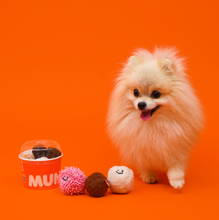 將圖片載入圖庫檢視器 Bacon X DUNKIN DONUT 甜甜圈球套組 | 逼逼球 | 啃咬玩具
