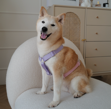 將圖片載入圖庫檢視器 [現貨] Comefrompetwithlove. 毛孩胸揹帶 | 透氣胸揹帶 | 糖果色
