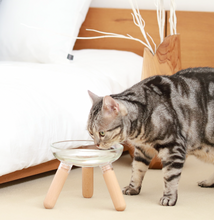 將圖片載入圖庫檢視器 [現貨] Inherent 透明碗 | 高碗架 | 貓咪必備喝水碗
